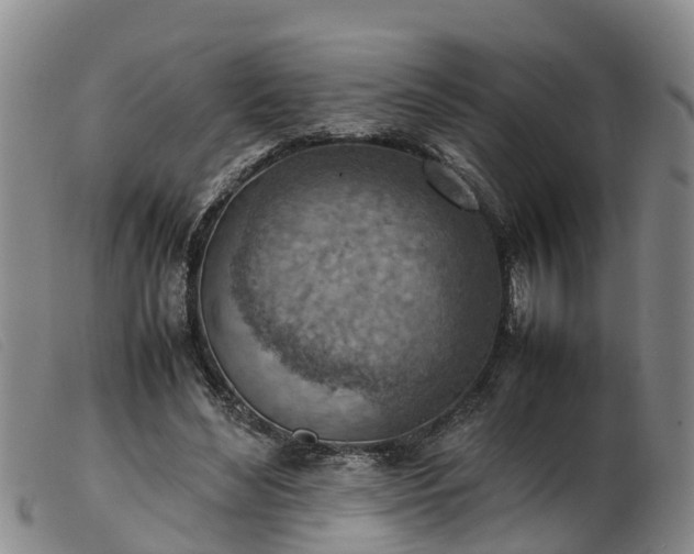 X0000103410492200809191549