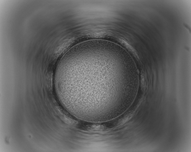 X0000103410493200809191549