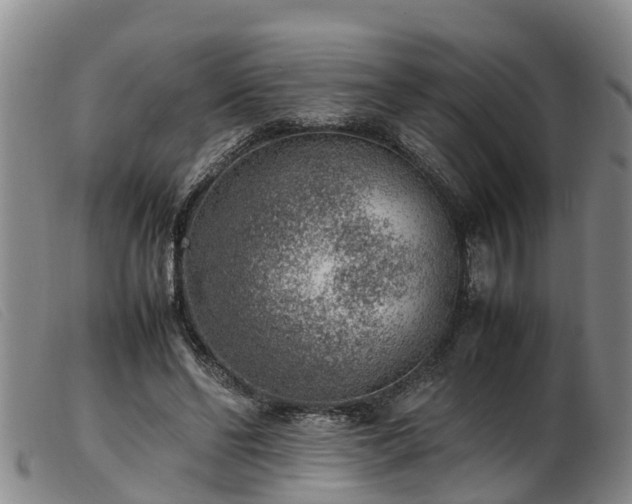 X0000103410494200809191549