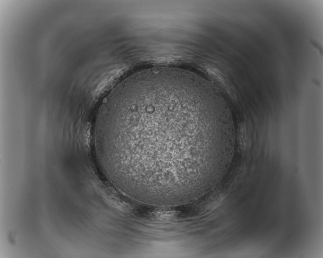 X0000103410495200809191549