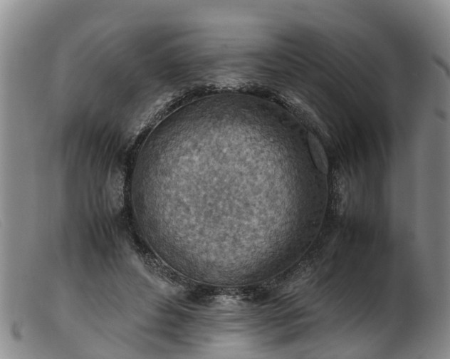 X0000103410496200809191549