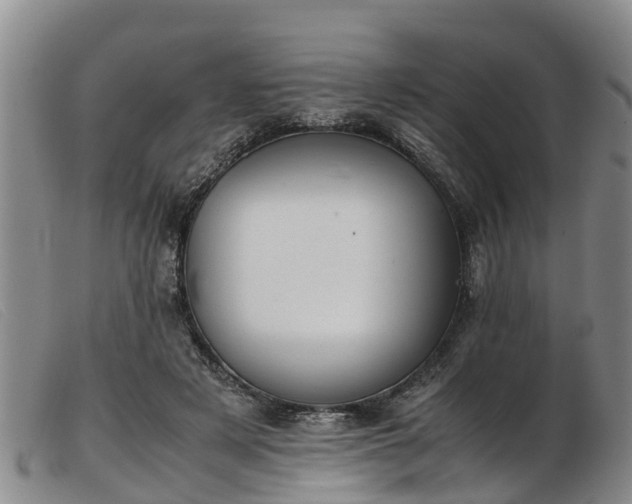 X0000103410497200809191549