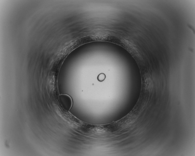 X0000103410498200809191549