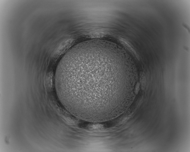 X0000103410501200809191548