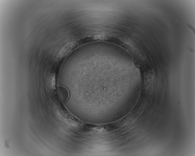 X0000103410502200809191548