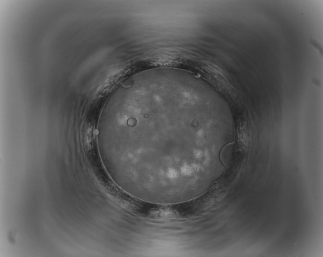 X0000103410503200809191548