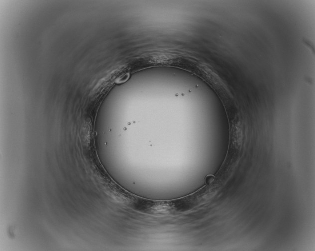 X0000103410505200809191548