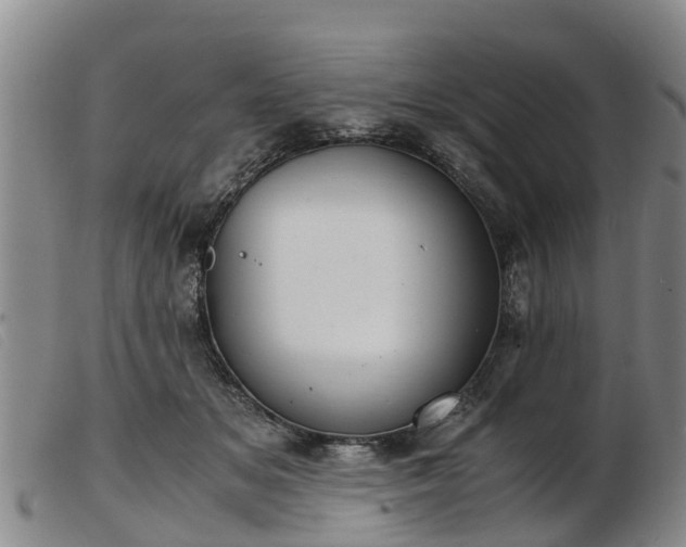 X0000103410509200809191548