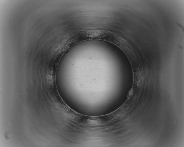 X0000103410510200809191548