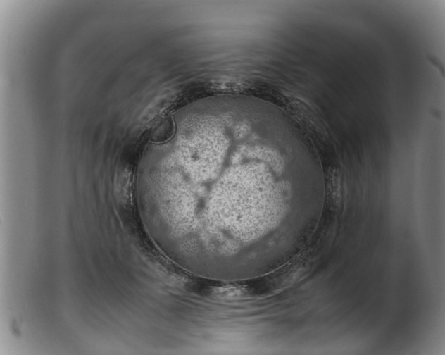 X0000103410511200809191548