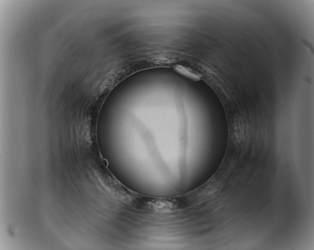 X0000103410512200809191548