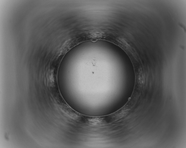 X0000103410516200809191548