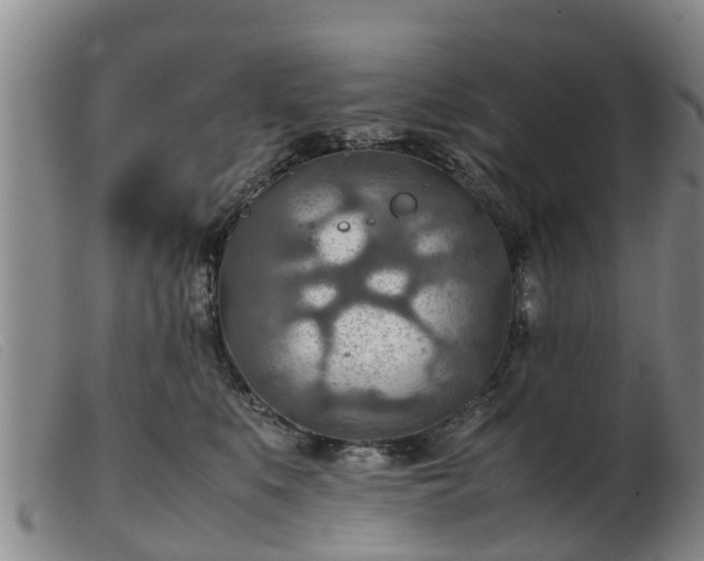 X0000103410519200809191548