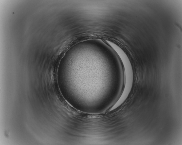 X0000103410520200809191548