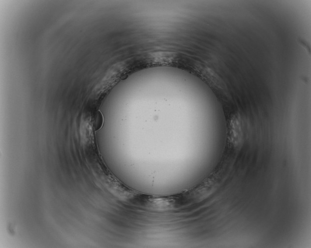 X0000103410522200809191548