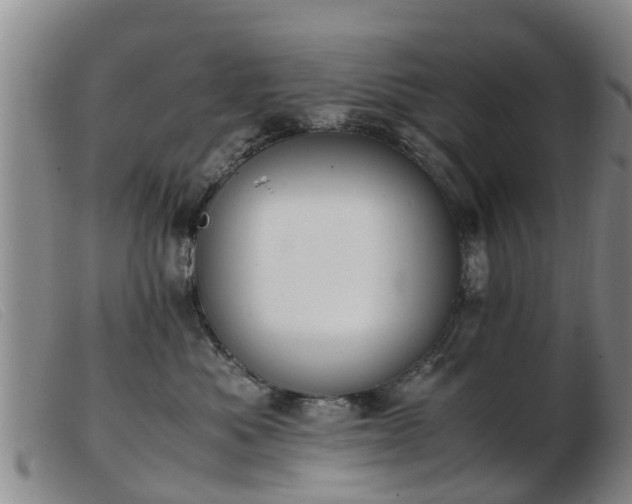 X0000103410525200809191548