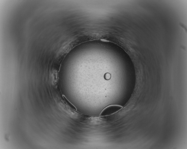 X0000103410528200809191548