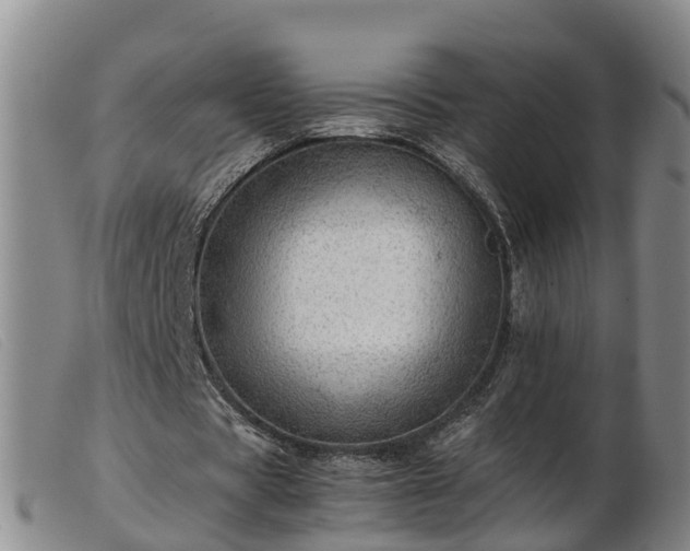 X0000103410529200809191547