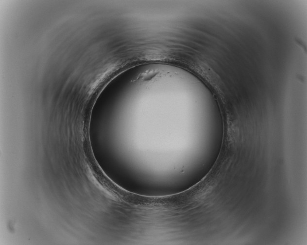 X0000103410530200809191547