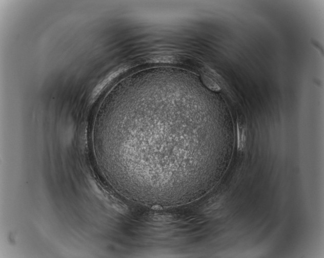 X0000103410531200809191547