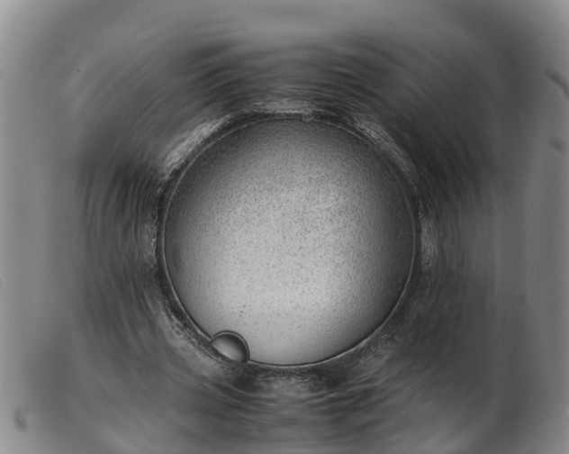 X0000103410533200809191547