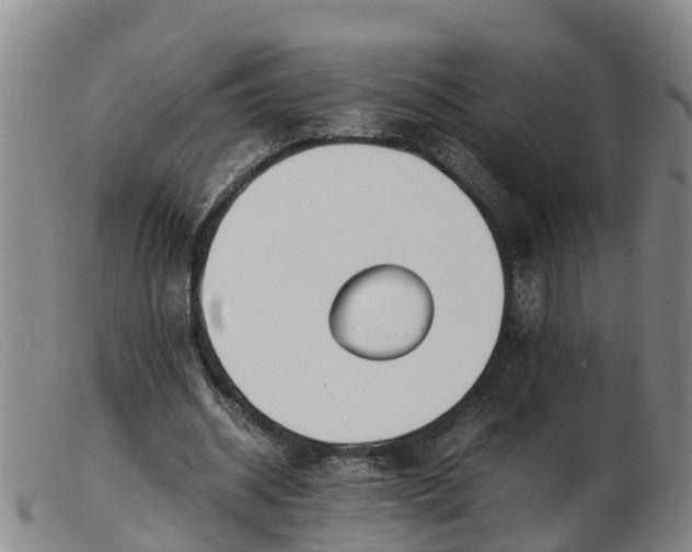 X0000103410534200809191548