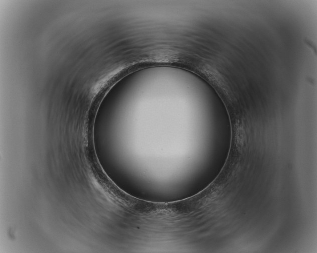 X0000103410536200809191548