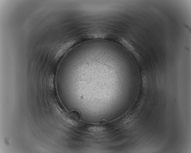 X0000103410537200809191548