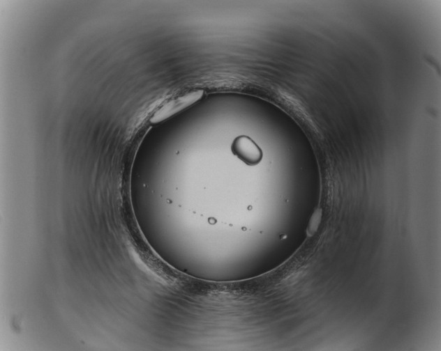 X0000103410538200809191548