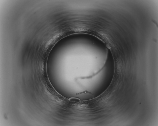 X0000103410539200809191548