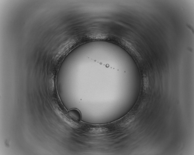 X0000103410541200809191548