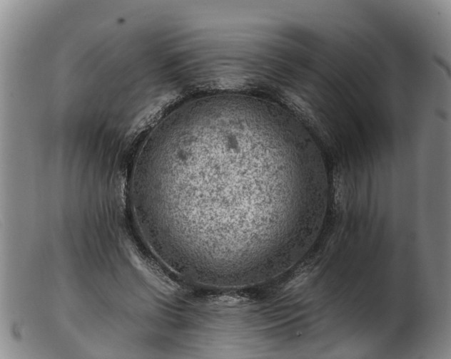 X0000103410542200809191548