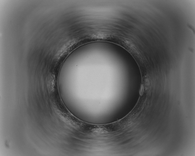 X0000103410544200809191548