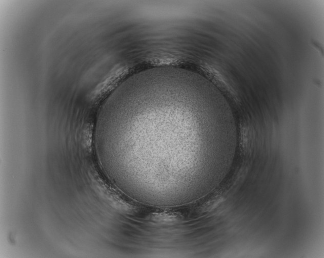 X0000103410545200809191548