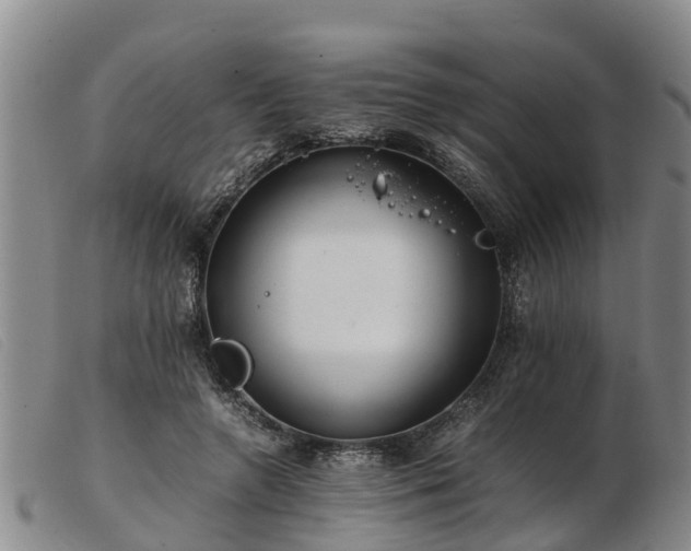 X0000103410546200809191548