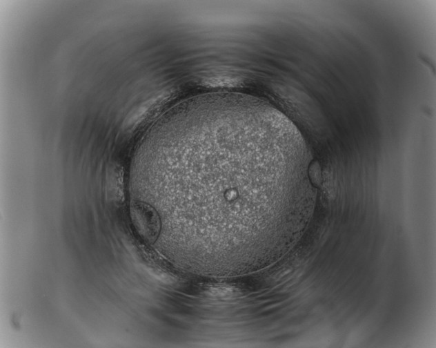 X0000103410547200809191548