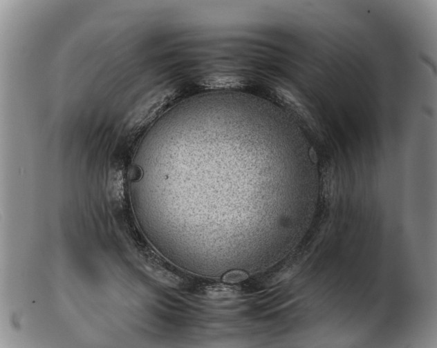 X0000103410549200809191548