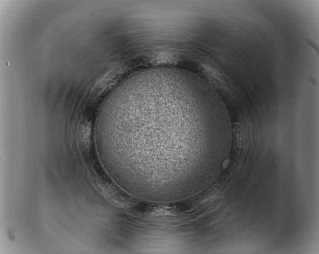 X0000103410550200809191548