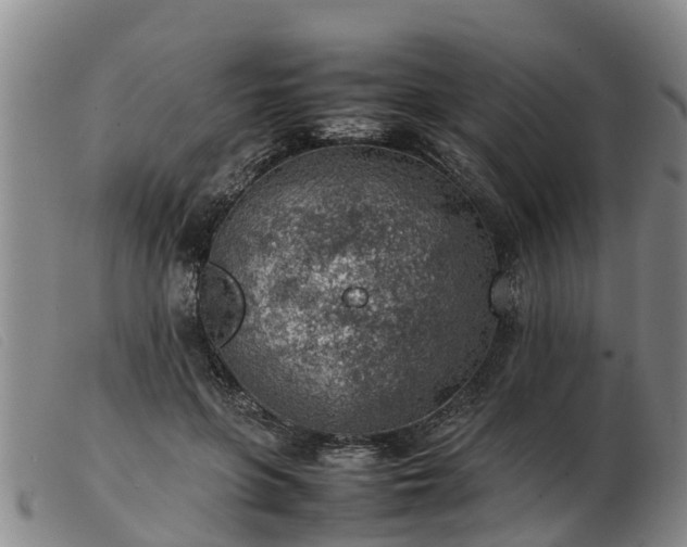 X0000103410551200809191548