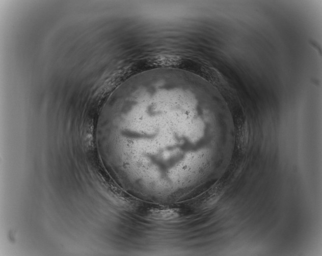 X0000103410553200809191548