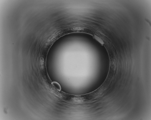 X0000103410556200809191548