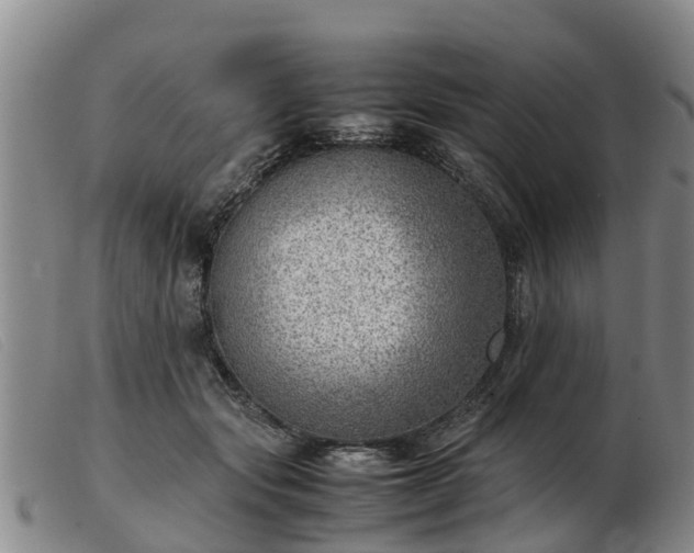 X0000103410557200809191548