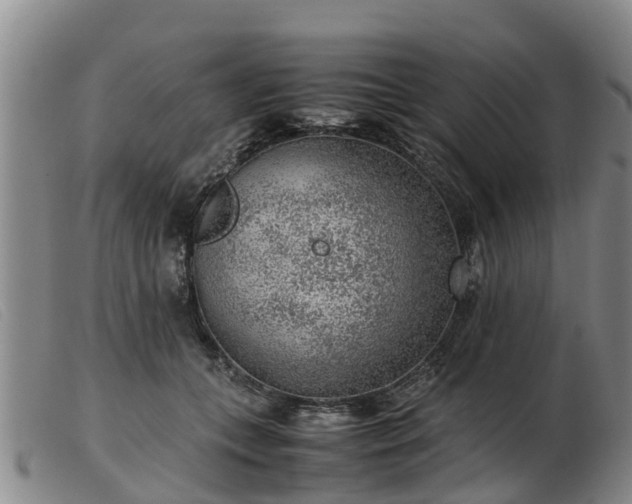 X0000103410559200809191548