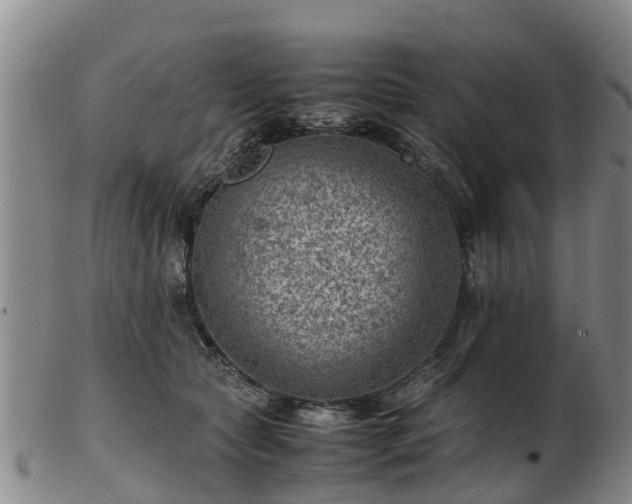 X0000103410561200809191548