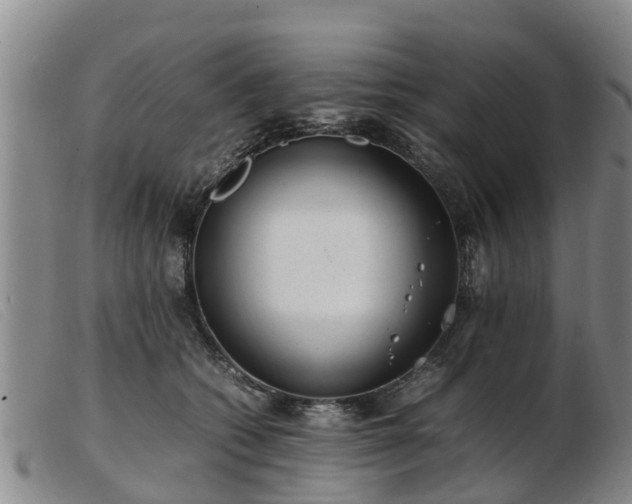 X0000103410562200809191548