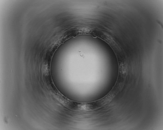 X0000103410564200809191548