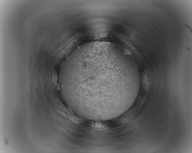 X0000103410565200809191548