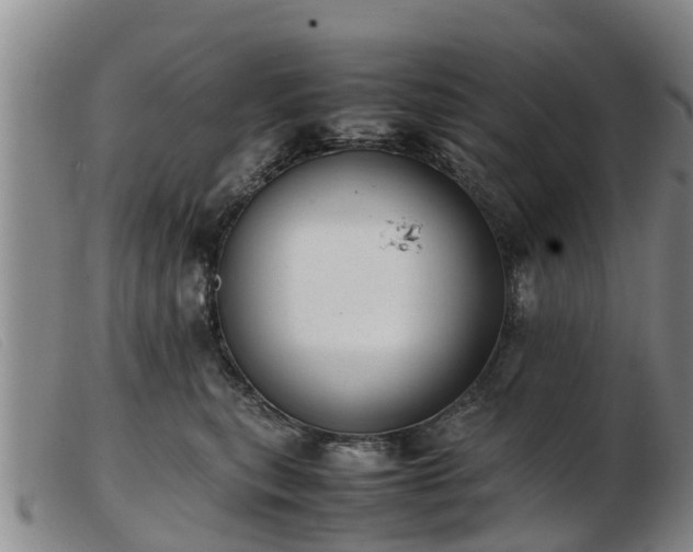 X0000103410567200809191548