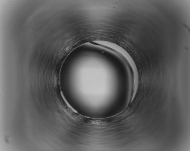 X0000103410568200809191548