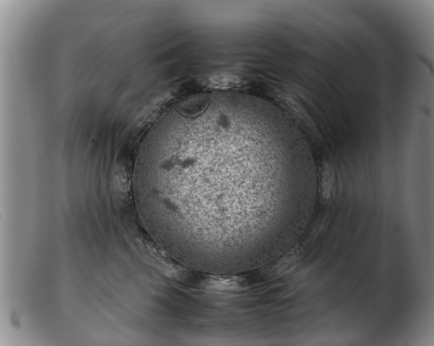 X0000103410569200809191548